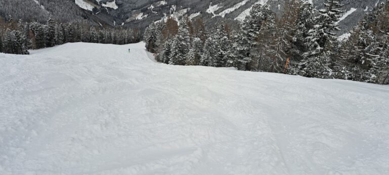 20cm Neuschnee